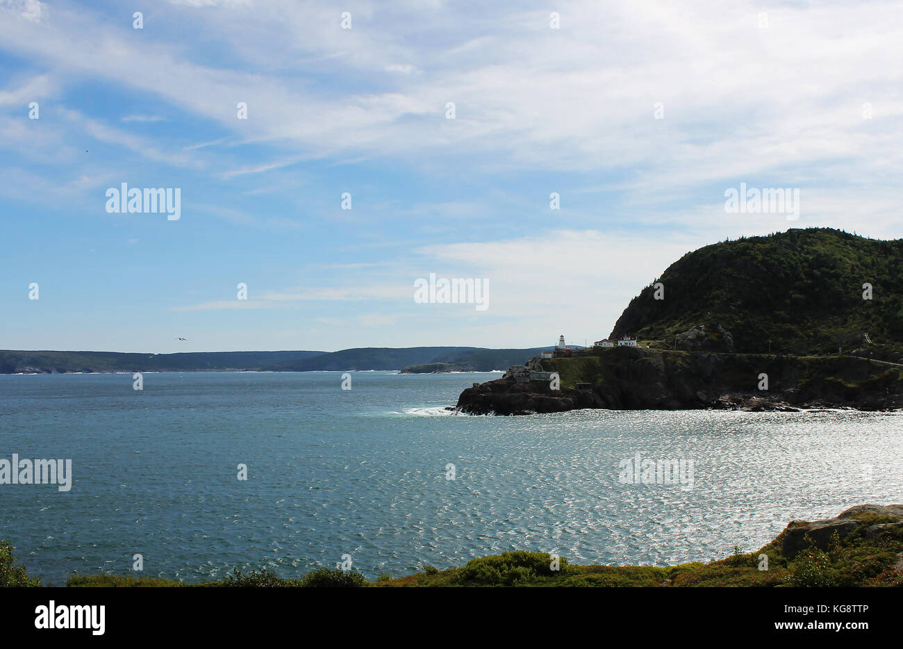 Looking across St. John's Harbour at Fort Amherst. Panoramic view of