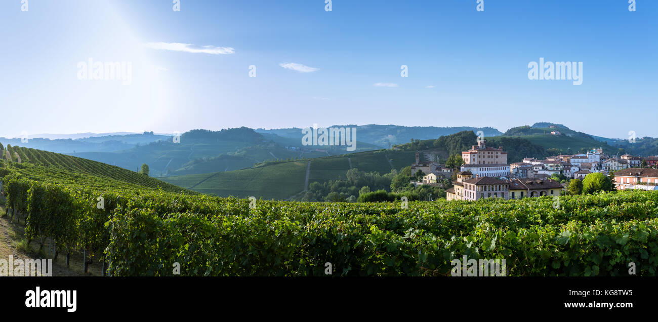 Village of Barolo with Barolo Castle surrounded by vineyards, Castello di Barolo, Piedmont, Italy Stock Photo