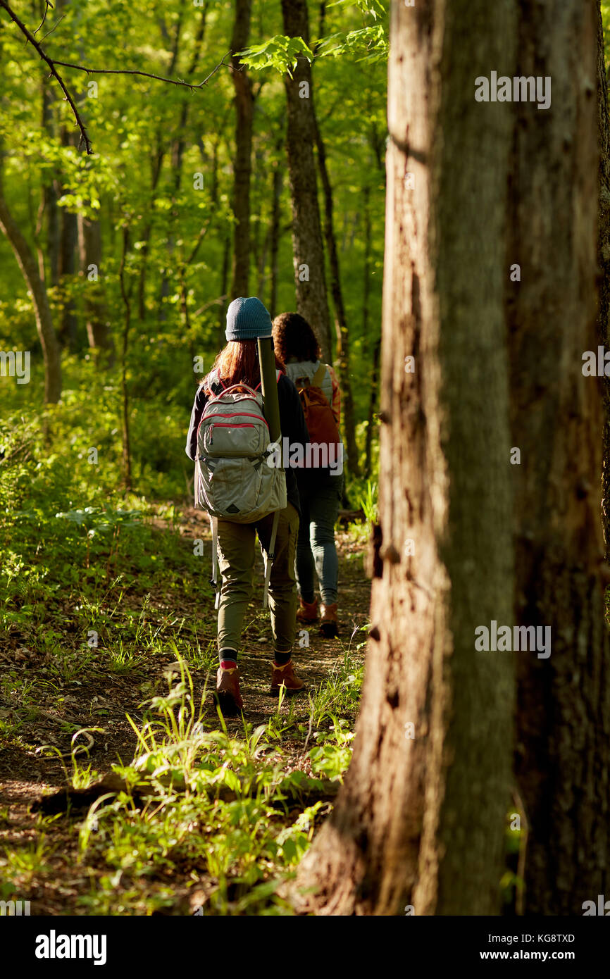 Two women backpackers hiking in a shady leafy green forest walking ...