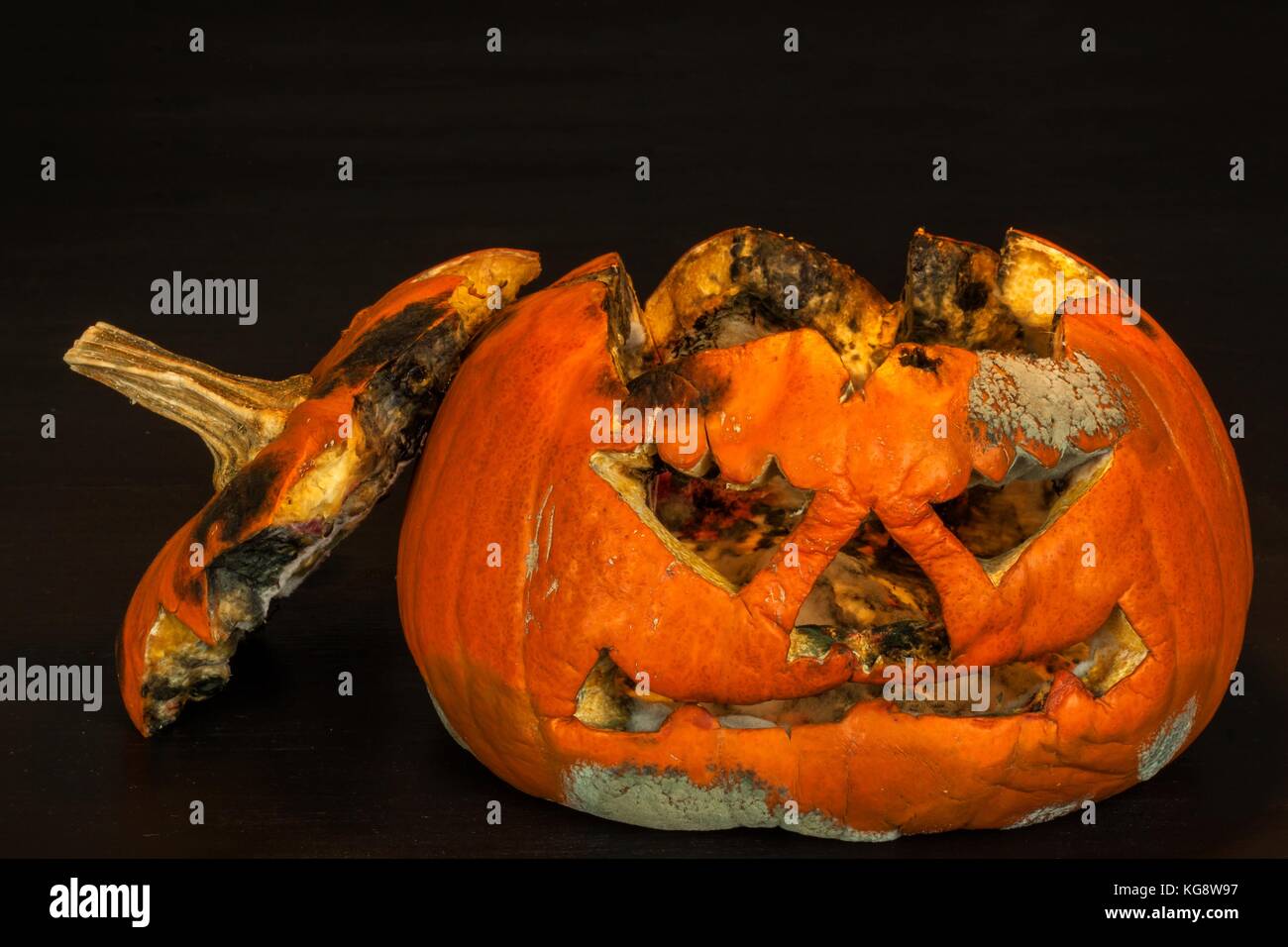 Moldy pumpkin. End of Halloween celebrations. The decaying pumpkin