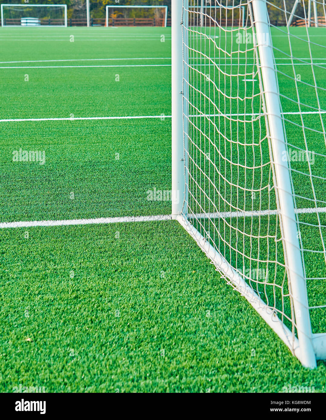 markings on a football stadium Stock Photo - Alamy