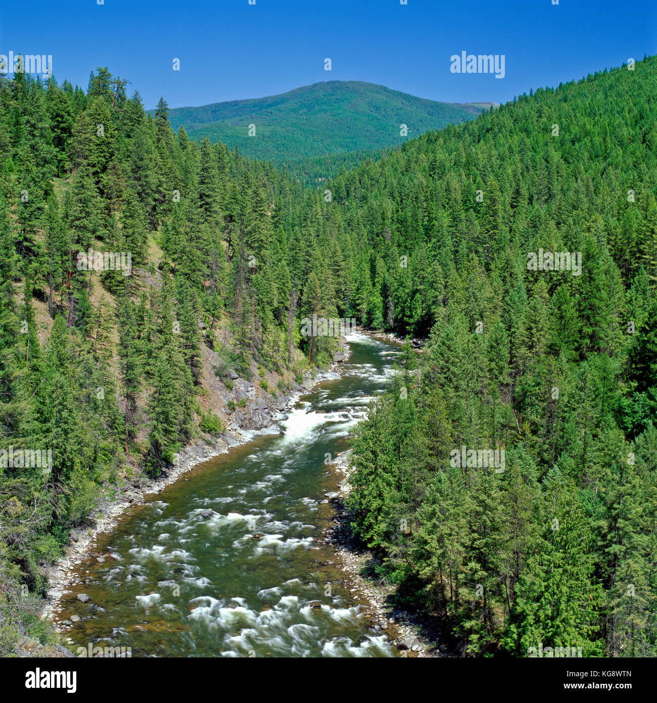 yaak river in kootenai national forest near yaak, montana Stock Photo