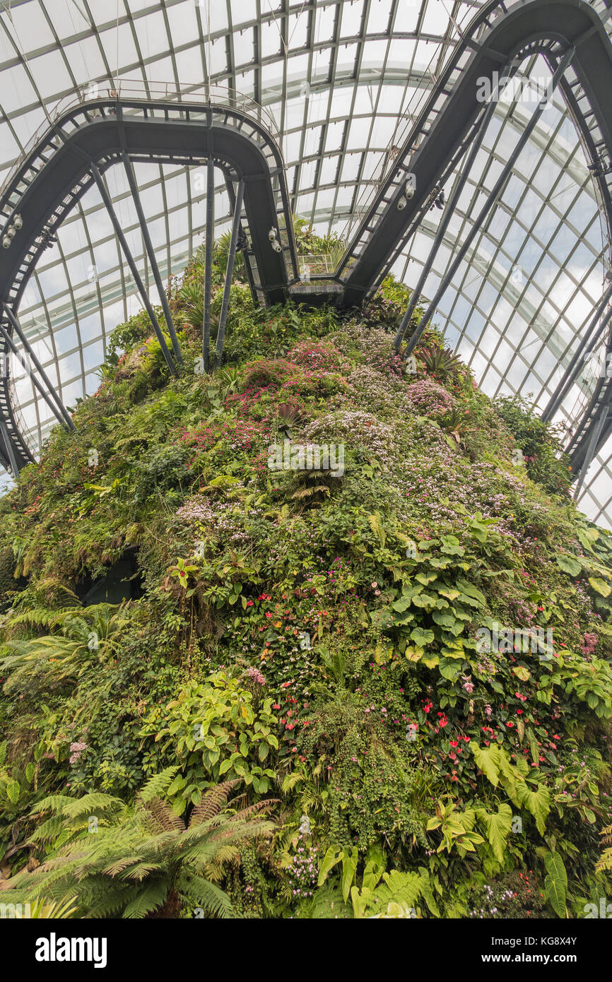 Inside a greenhouse at gardens by the bay Stock Photo Alamy