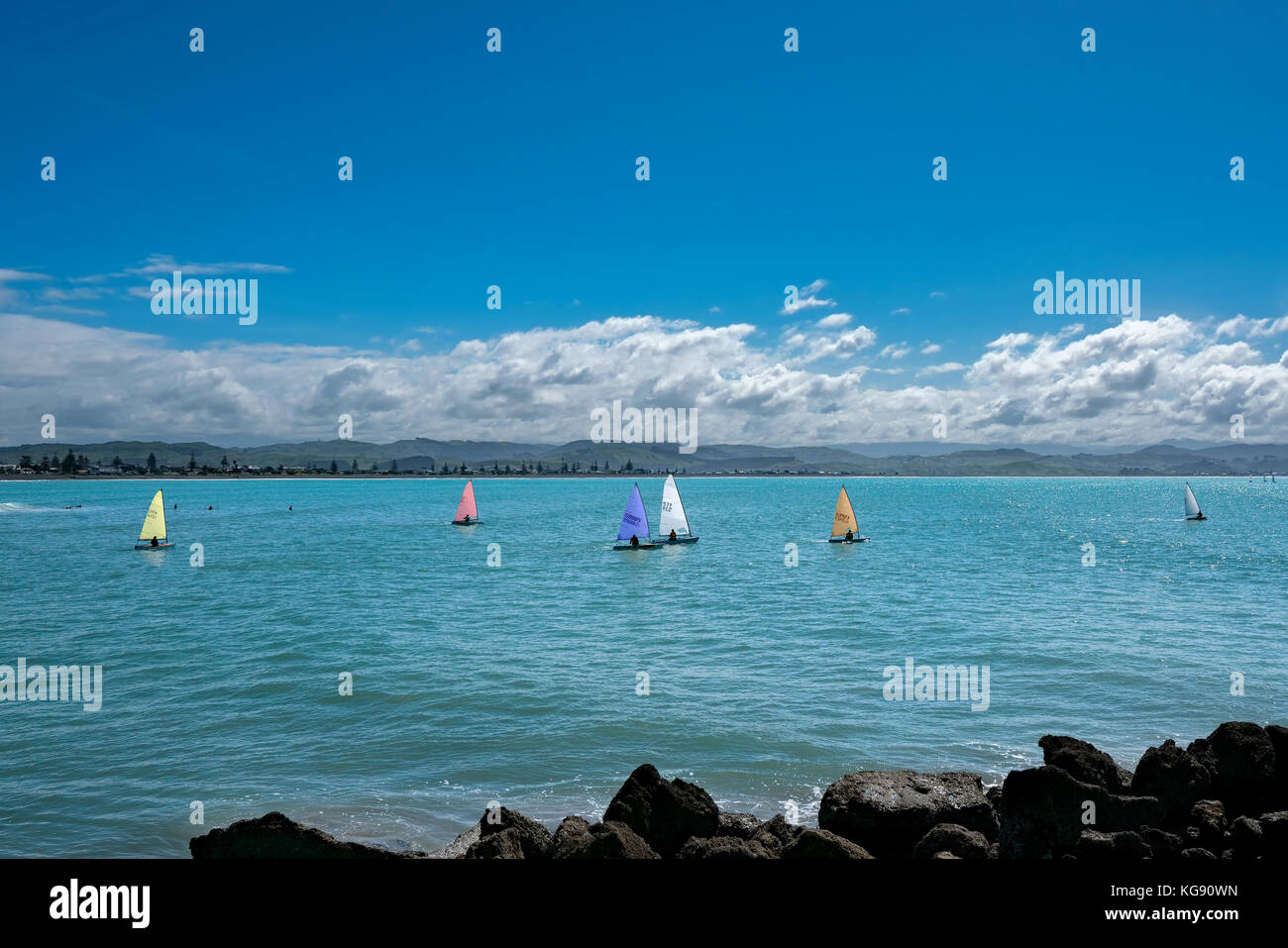 Colorful Sails of Racing Yachts in Hawke's Bay Waters Stock Photo