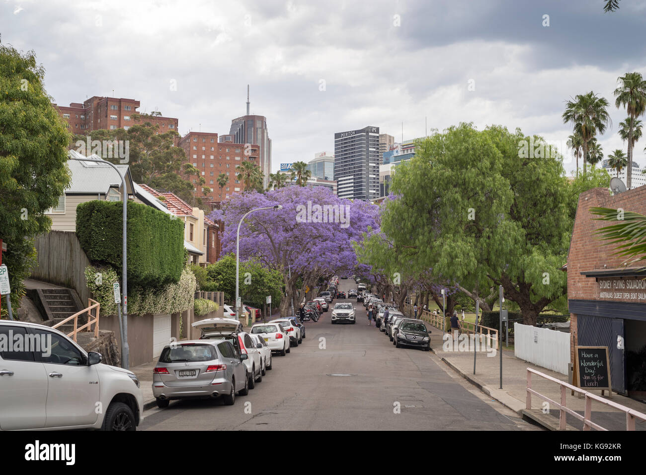 Jacaranda street hires stock photography and images Alamy
