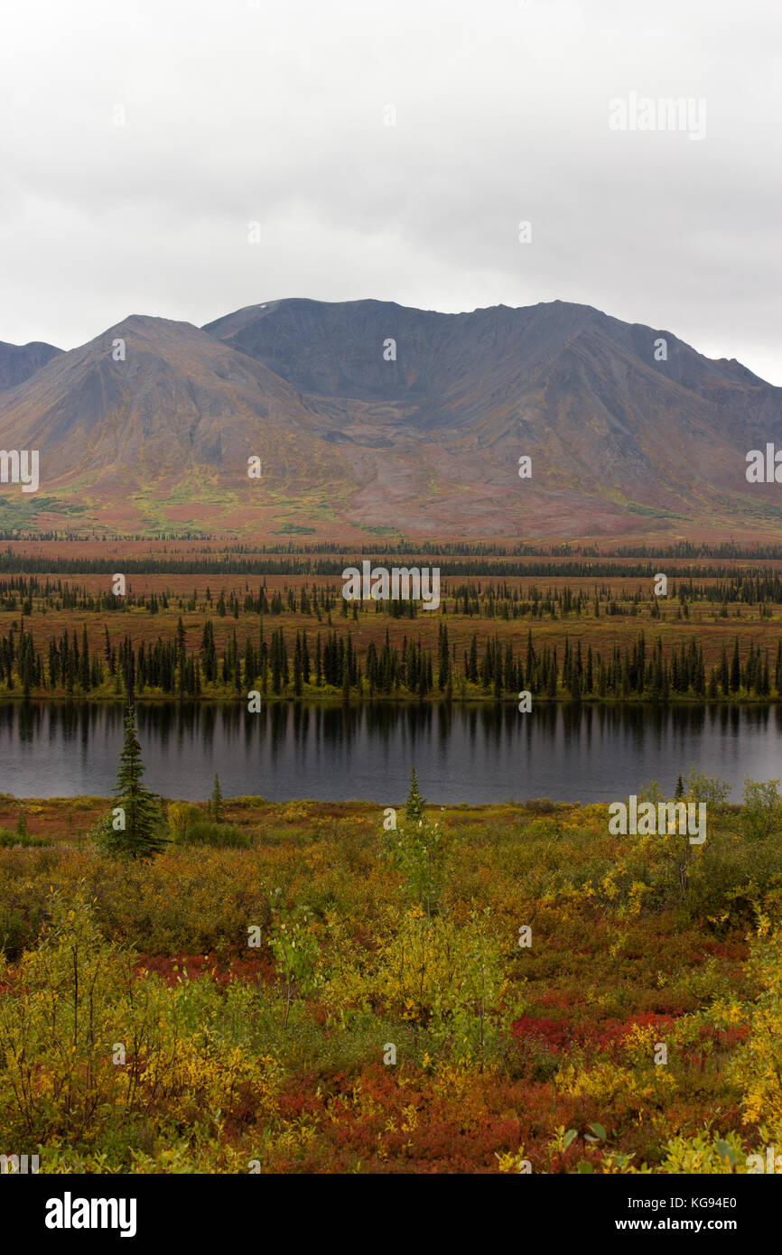 View of Alaskan Wilderness in Fall Colors Stock Photo
