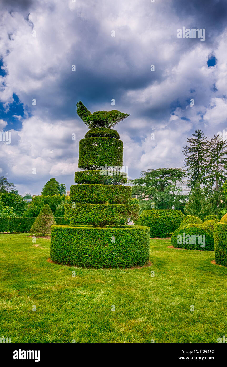 Trimmed Tree to looks like animal Stock Photo Alamy