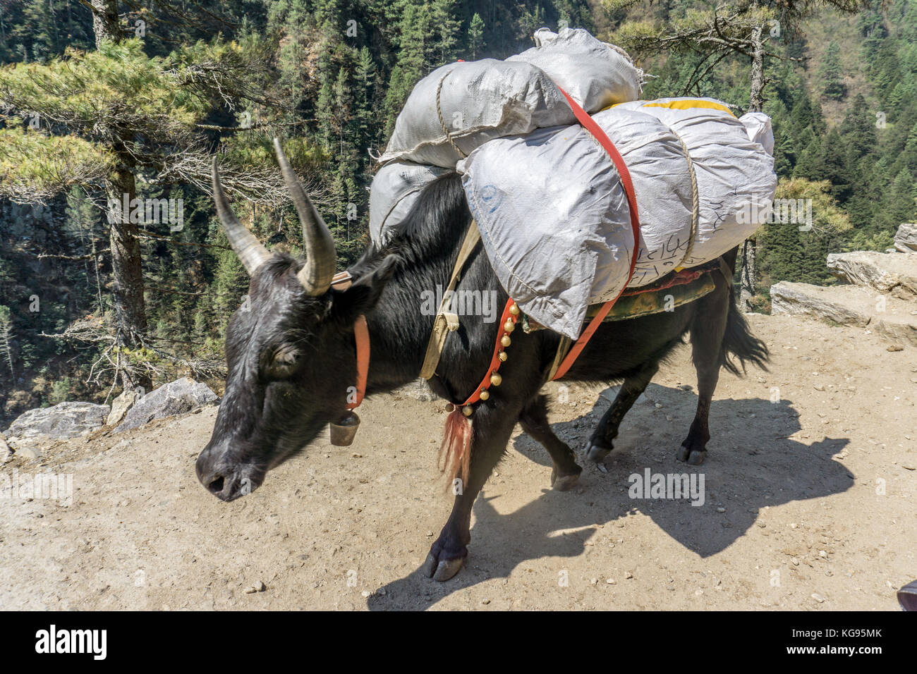 Day 2 of EBC Trek Stock Photo Alamy