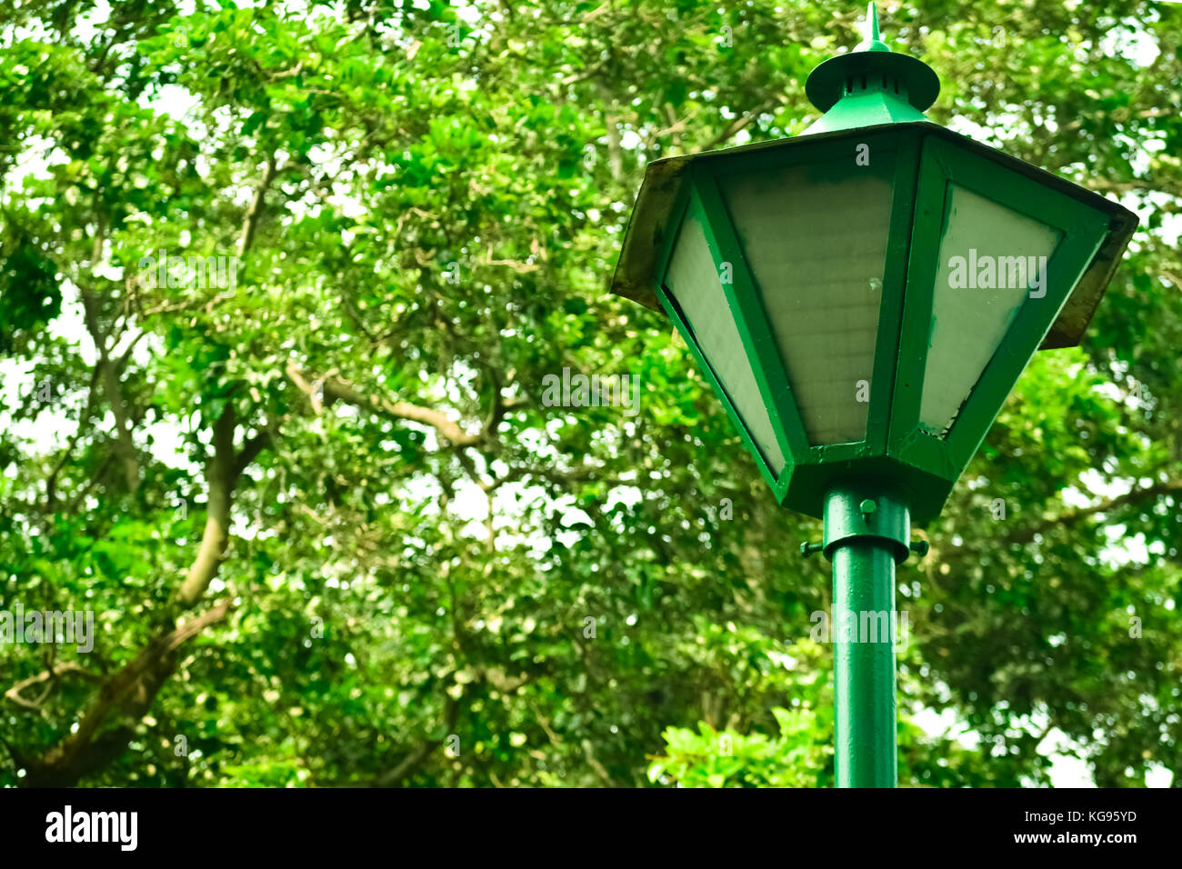 Top of street light an tree hi-res stock photography and images - Alamy