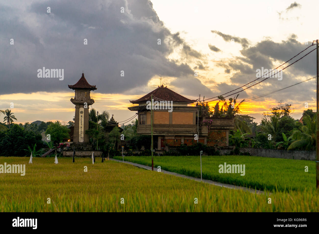 Really Rice Sunset Sunset over rice fields Stock Photo - Alamy