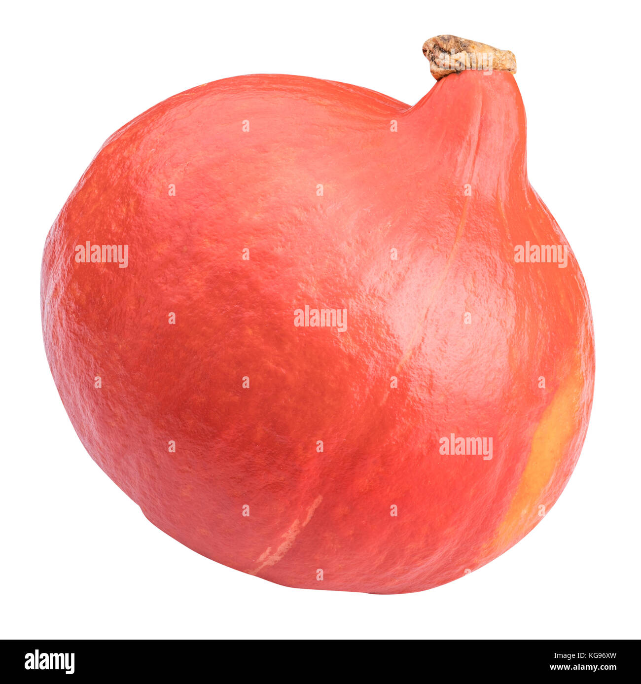 Fresh pumpkin isolated on white background with clipping path Stock ...