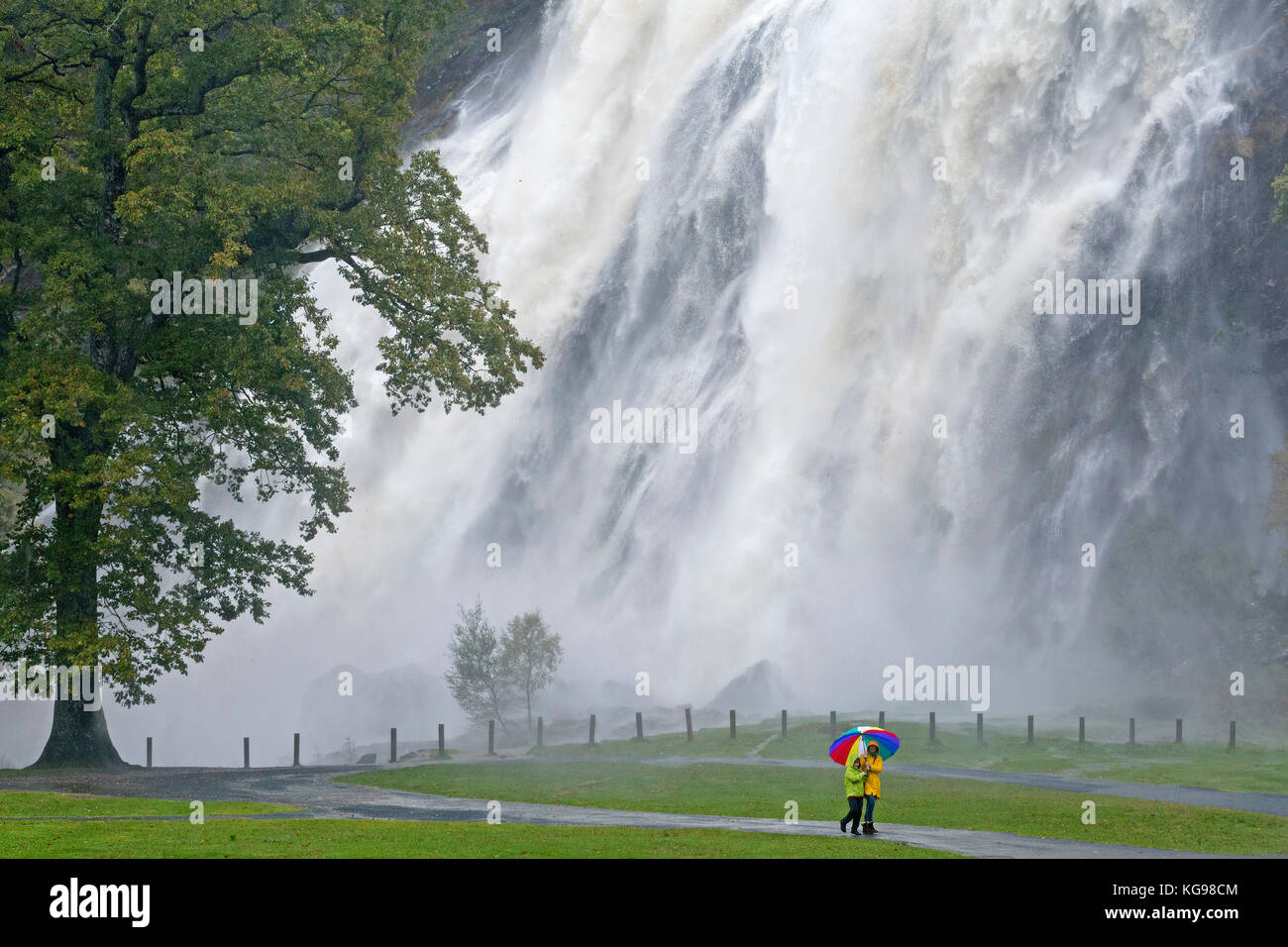 Powerscourt Waterfall, Enniskerry, Co. Wicklow, Ireland Stock Photo