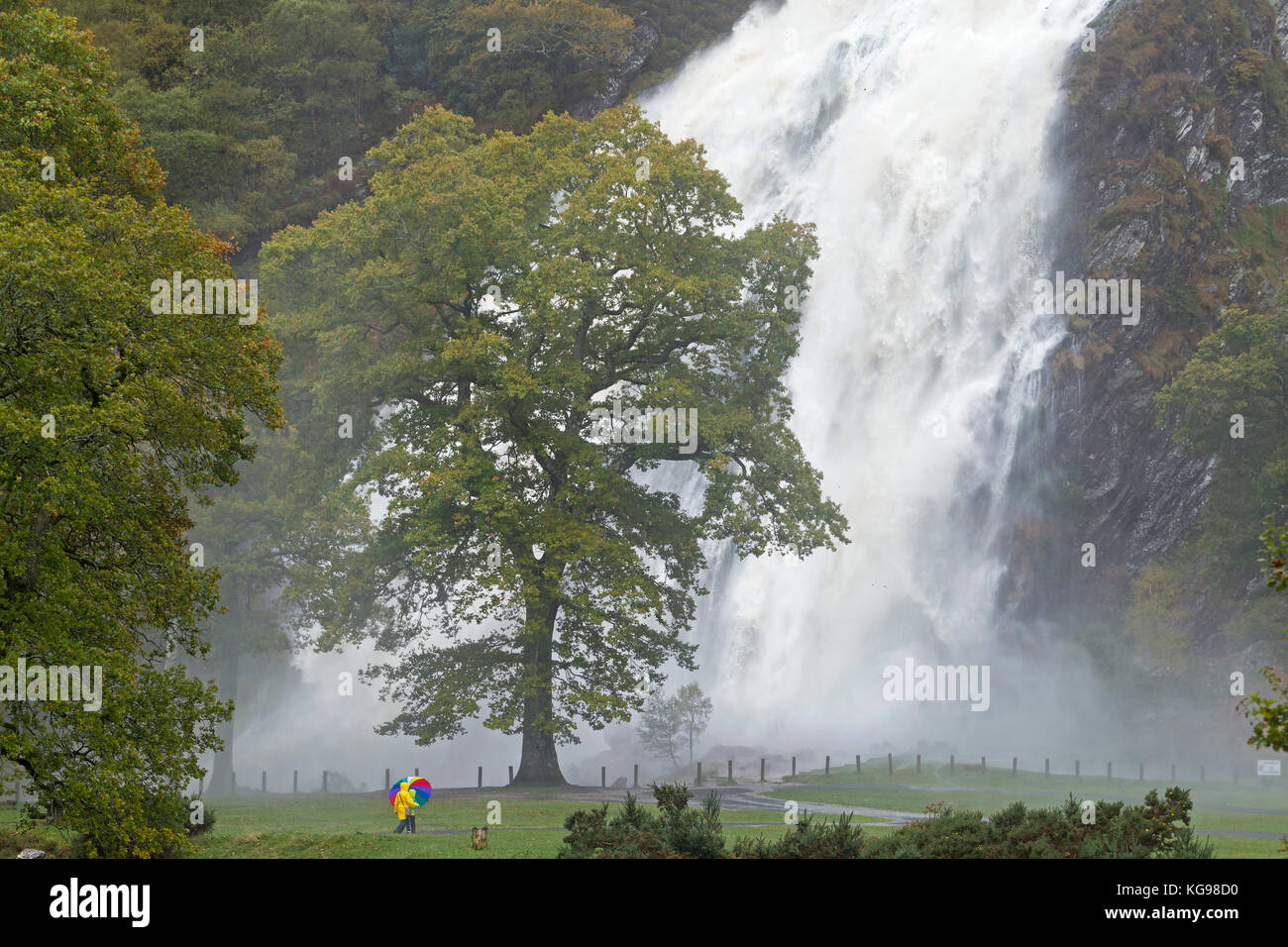 Powerscourt Waterfall, Enniskerry, Co. Wicklow, Ireland Stock Photo
