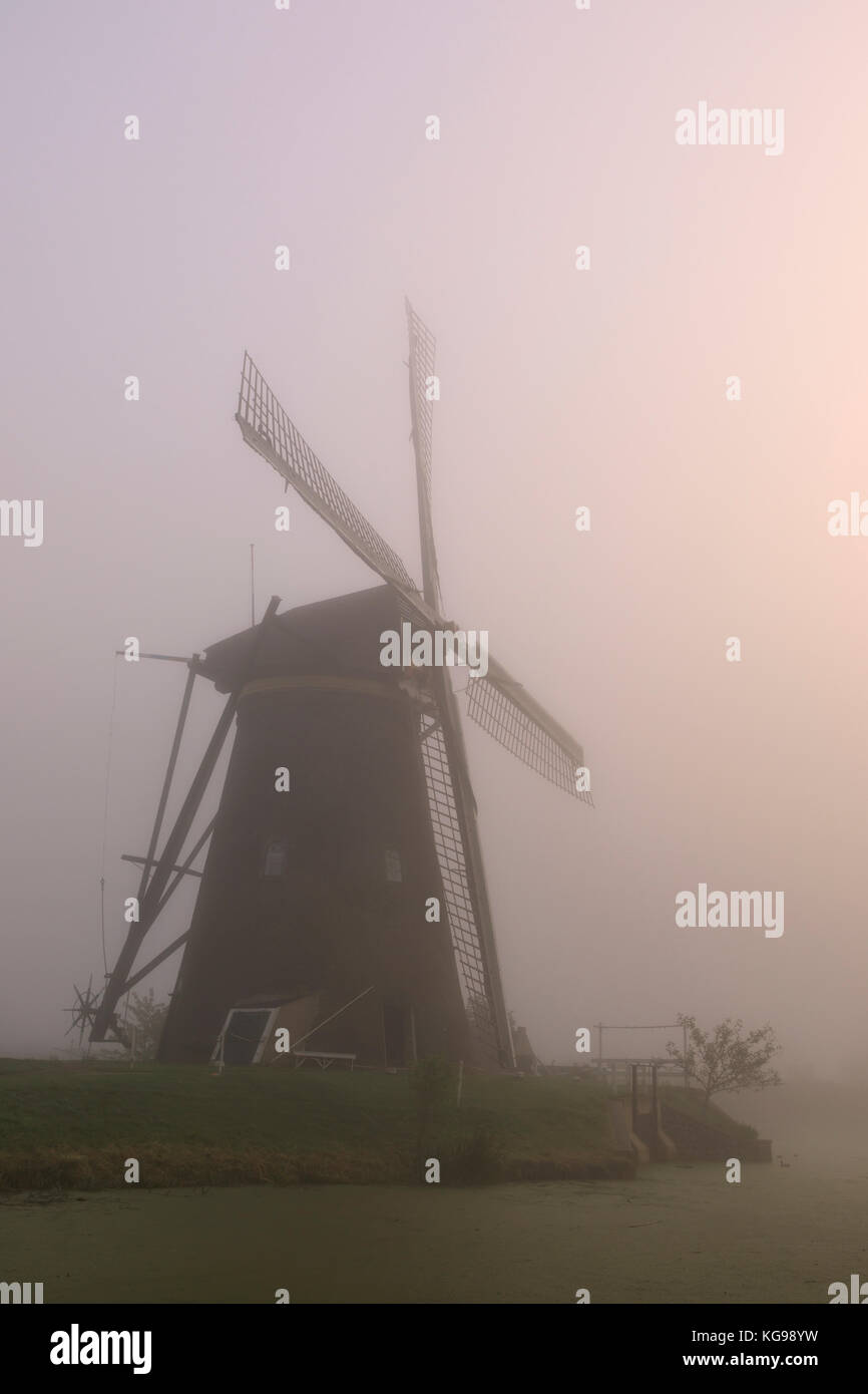 Historic windmill with fog, UNESCO World Heritage, South Netherland, Netherland, Europe Stock Photo