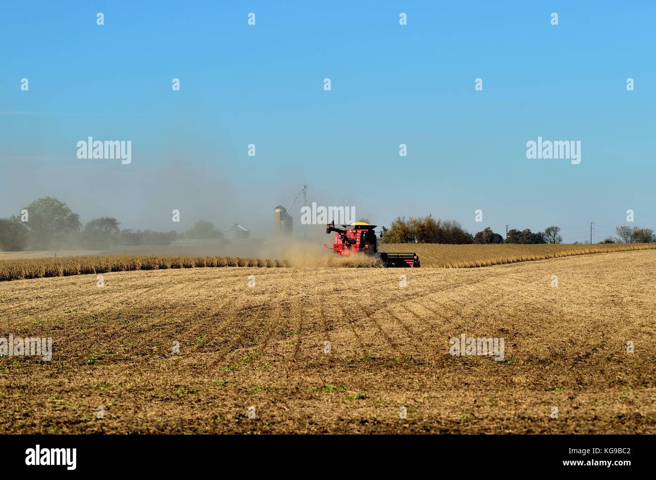 Corn fields illinois hi-res stock photography and images - Alamy