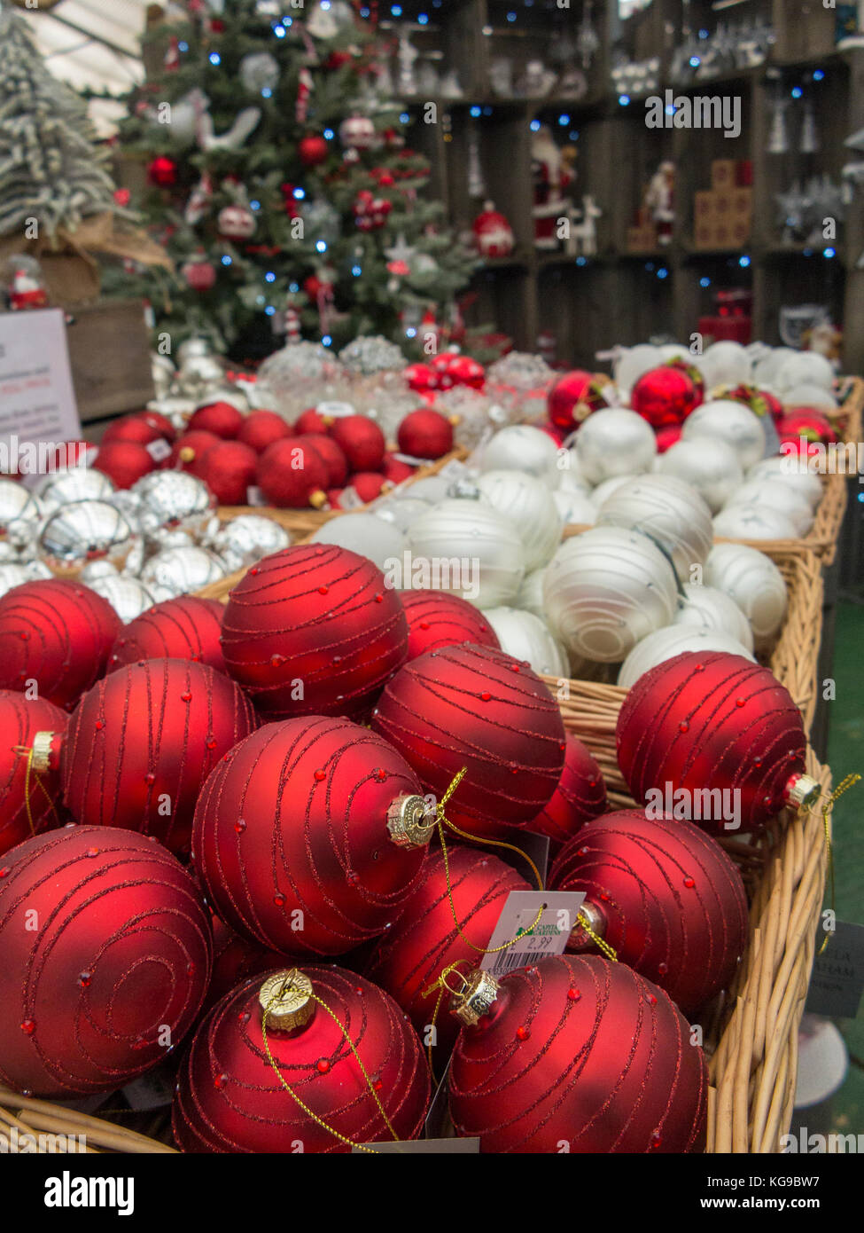 Garden centre christmas tree hires stock photography and images Alamy