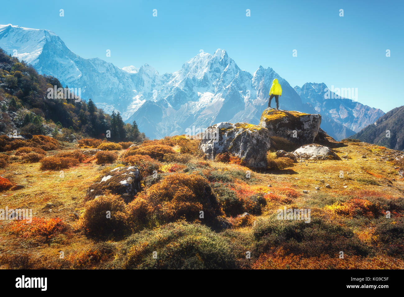 Standing man on the stone and looking on amazing Himalayan mountains. Landscape with traveler, high rocks with snowy peaks, plants, forest in autumn i Stock Photo