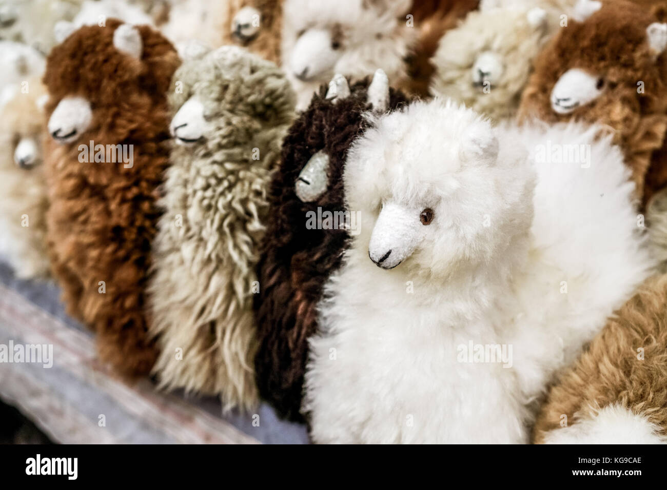 Llamas de peluche cheap