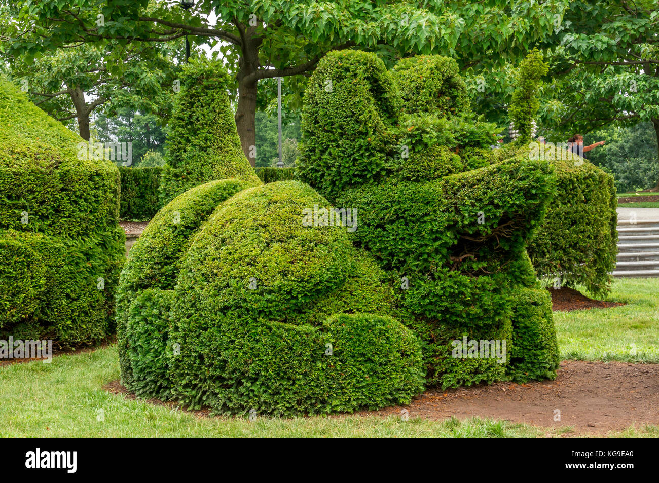 Trimmed Tree to looks like animal Stock Photo Alamy