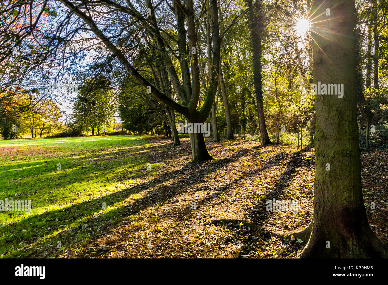 Wadesmill hires stock photography and images Alamy