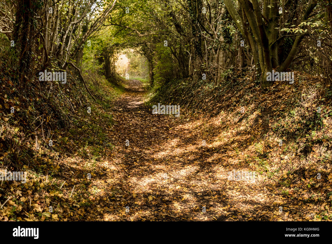 Wadesmill hires stock photography and images Alamy