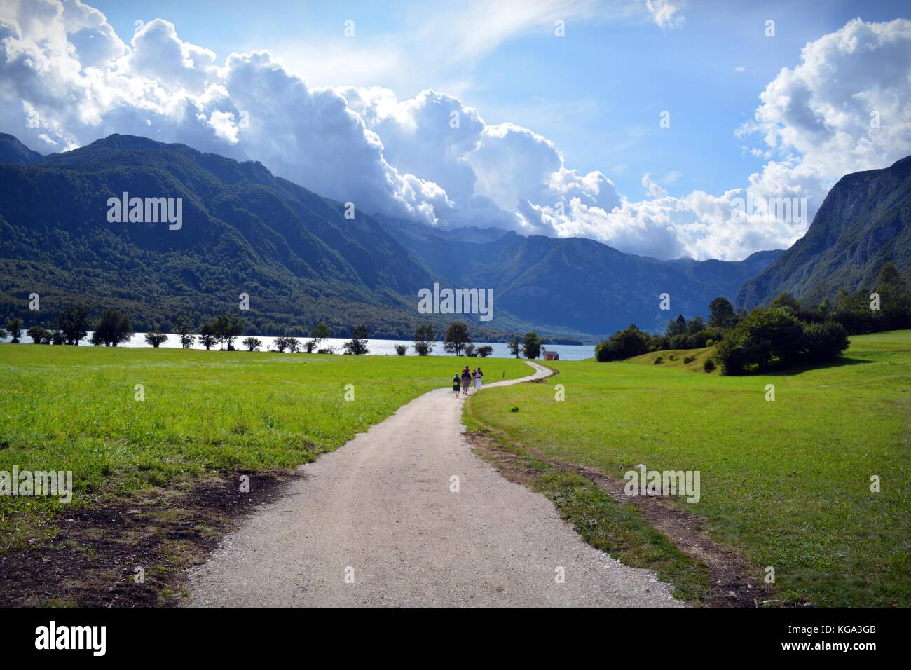 hiking through alpine meadows down to the lake, Bohinj valley, Triglav National Park, Slovenia Stock Photo