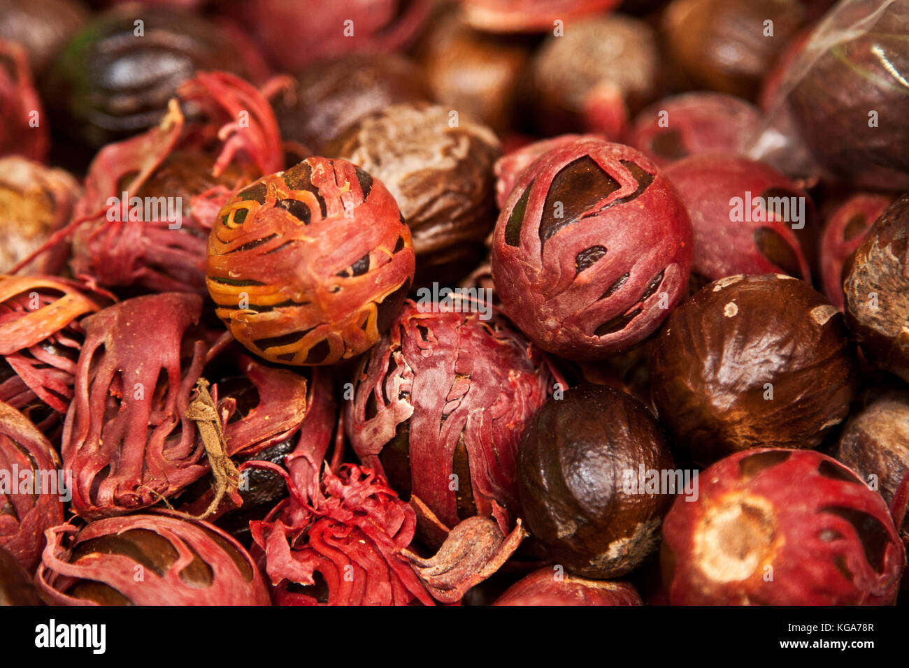 Nutmeg and Mace, Grande Marche, Public Market, in Fort de France