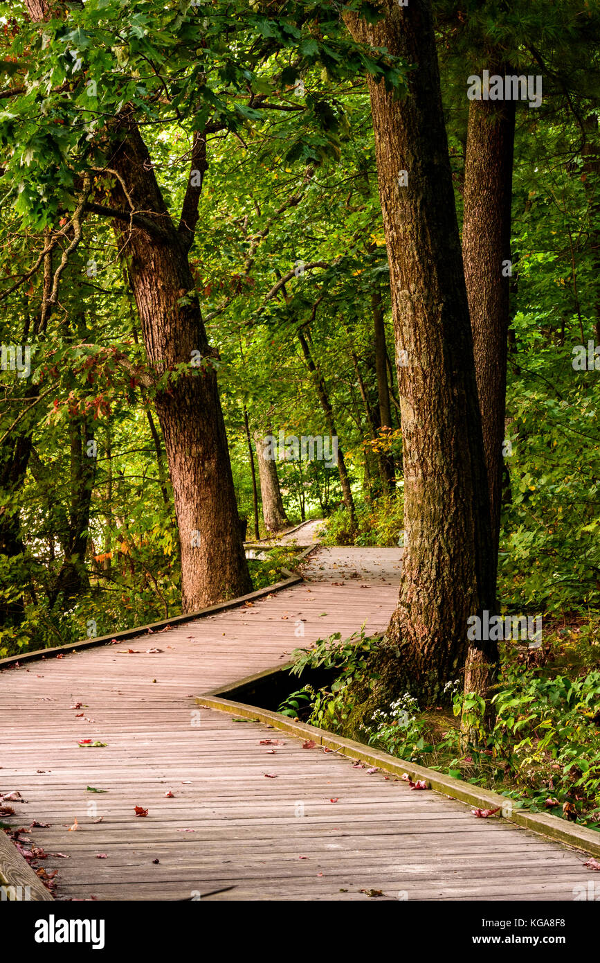 Board walk through the forest at Devil's Lake State Park. Stock Photo