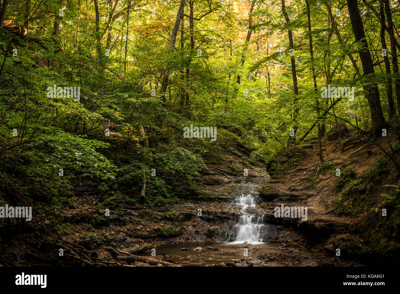 Summertime waterfall at Parfrey's Glen State Natural Area near Baraboo, Wisconsin. Stock Photo