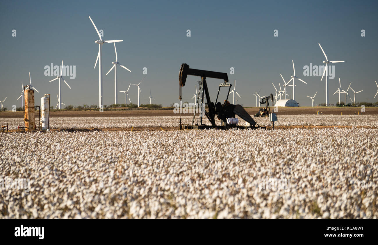 Oil production in a mature cotton field Stock Photo