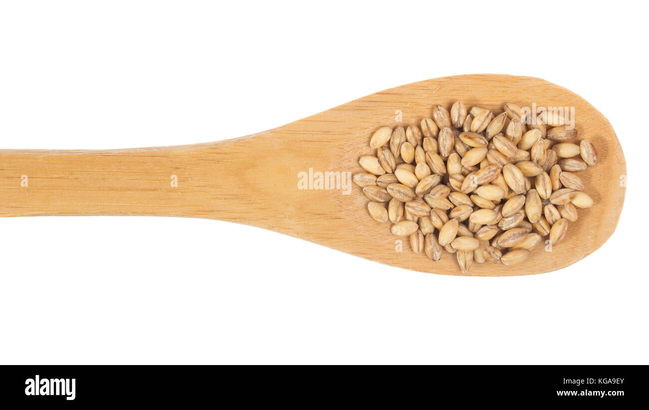 Hordeum vulgare is scientific name of Barley cereal grain. Also known