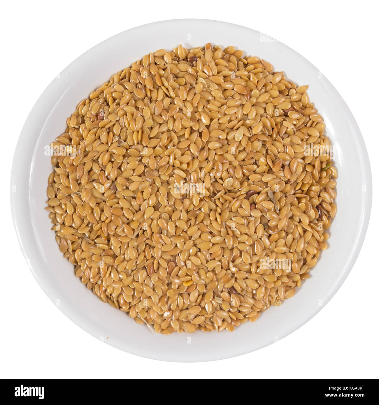 Linum usitatissimum is scientific name of Golden Flax seed. Also known