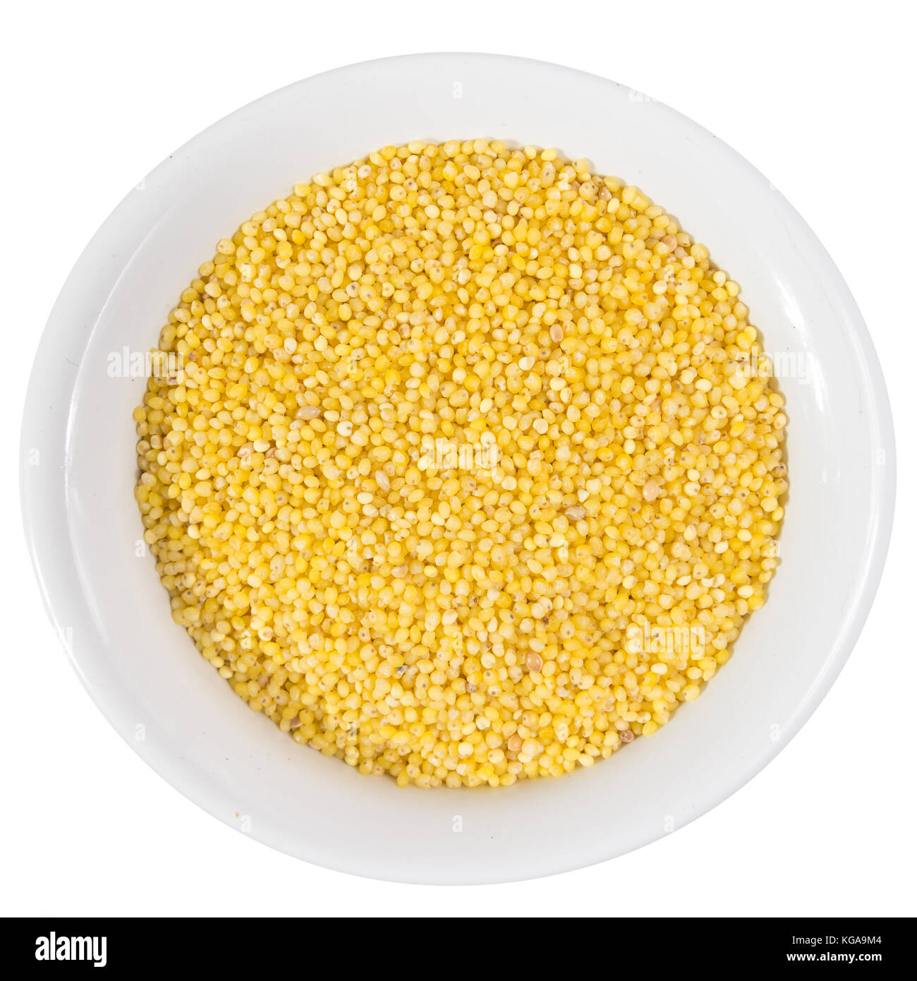 Panicum miliaceum is scientific name of Proso Millet cereal grain. Also