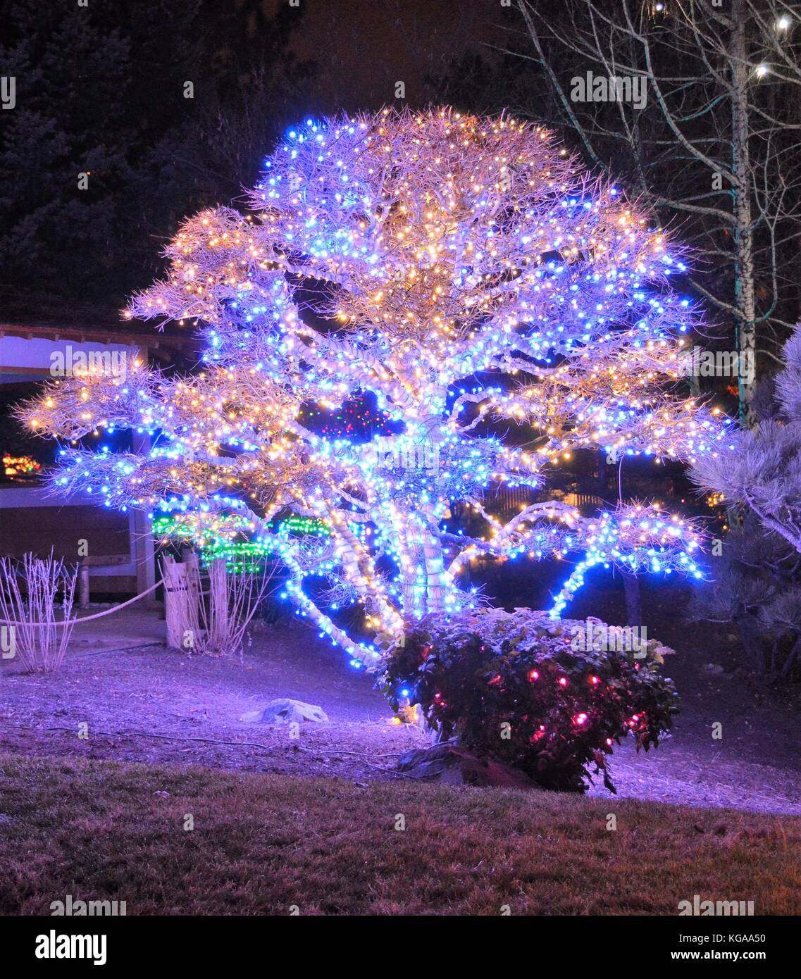 Outdoor Tree Lights Stock Photo Alamy
