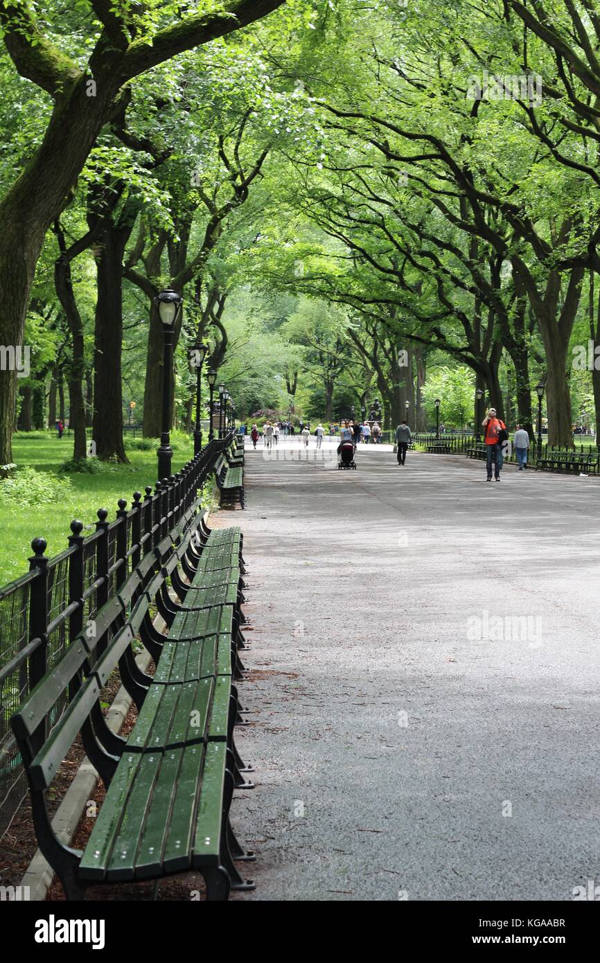 Benches in Central Park Stock Photo Alamy