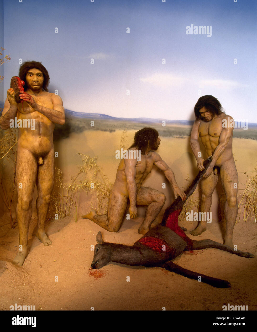 Human evolution. Homo Antecessor. Extinct human species. 1.200 to 800.000 years ago. Hunting scene. Stock Photo