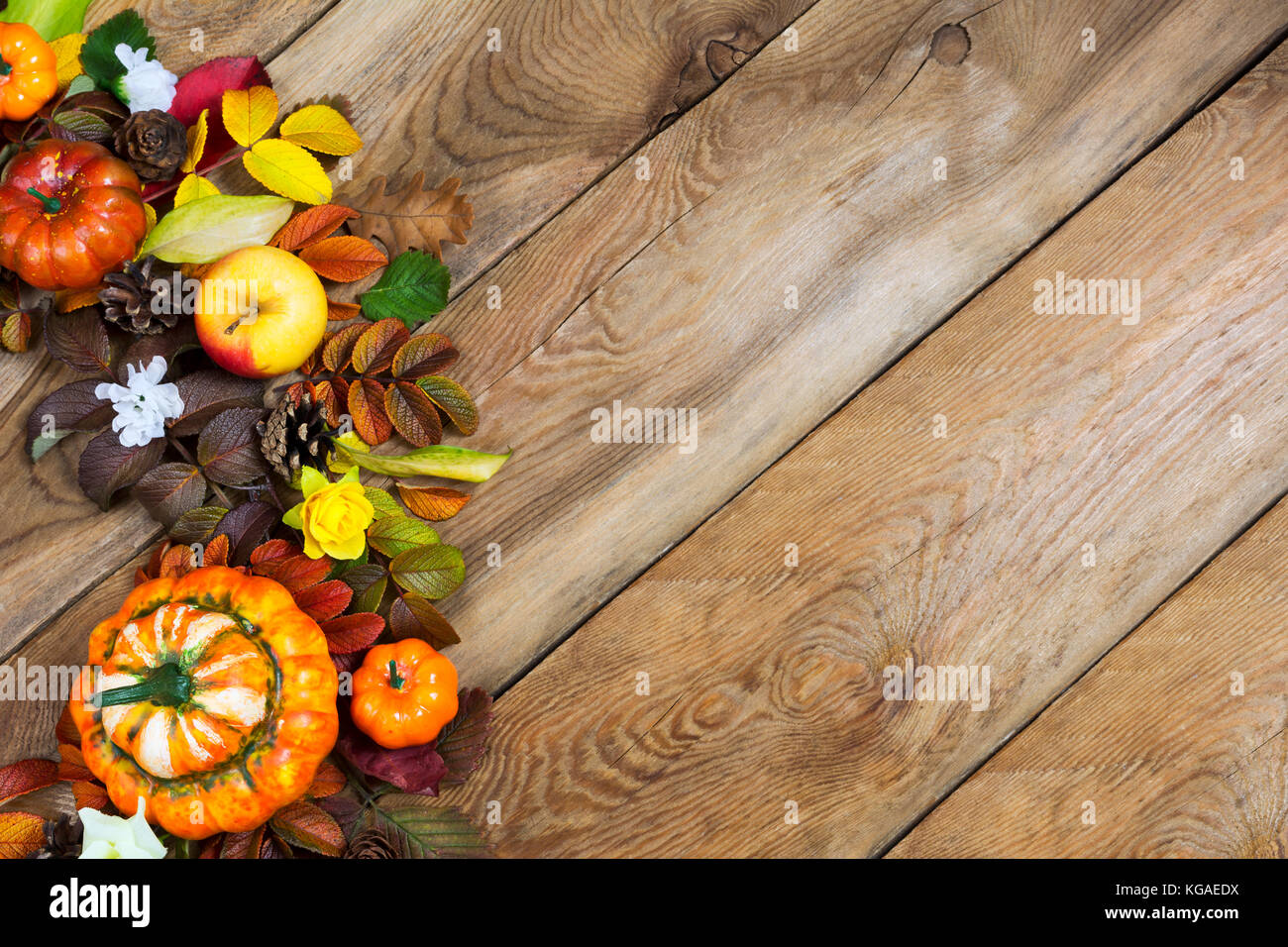 Thanksgiving decorative pumpkins, apples, colorful fall leaves, yellow roses and white flower arrangement on the rustic wooden background, copy space Stock Photo