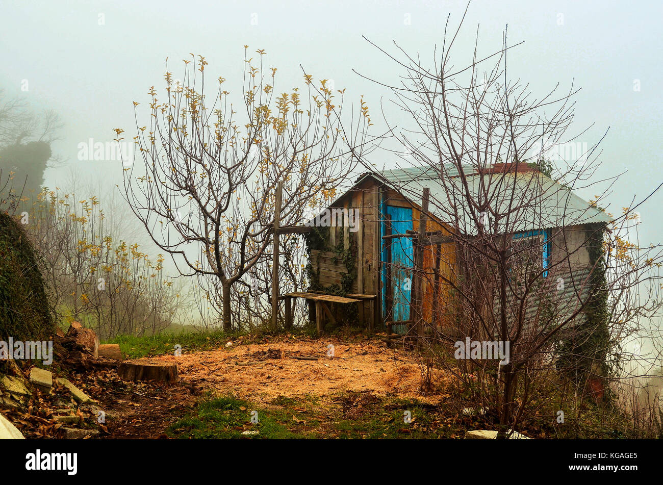 Abandoned hut in a misty landscape Stock Photo