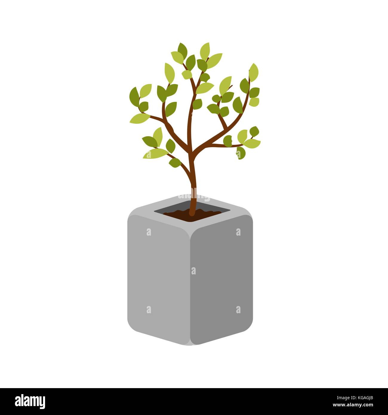 Tree outdoor plant in a concrete pot vector isolated. Stock Vector