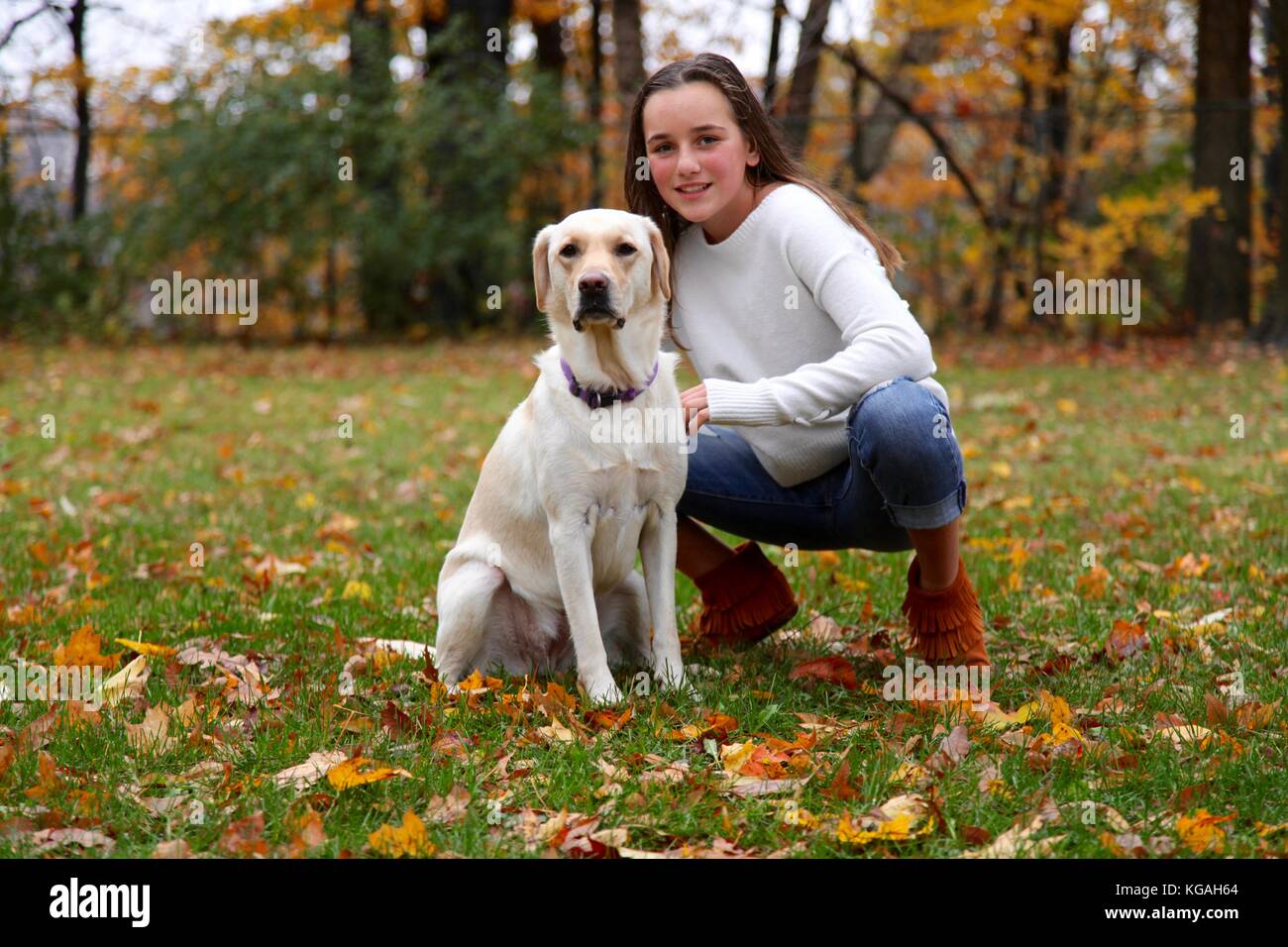 Portrait of a young teenage girl and her labrador dog enjoying the ...