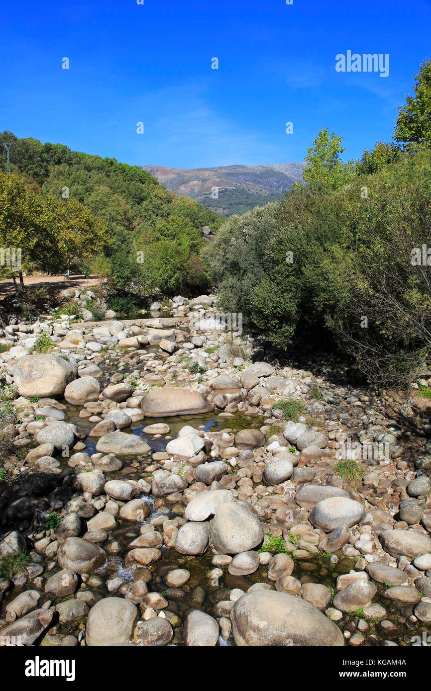 Tributary stream at low level in summer, Rio Tietar river, Jarandilla ...