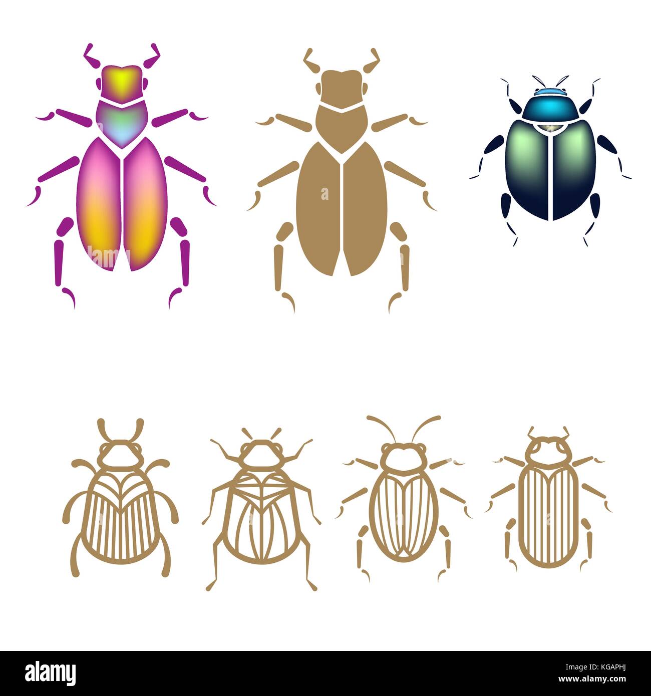 Beetle vector illustration set. Stock Vector