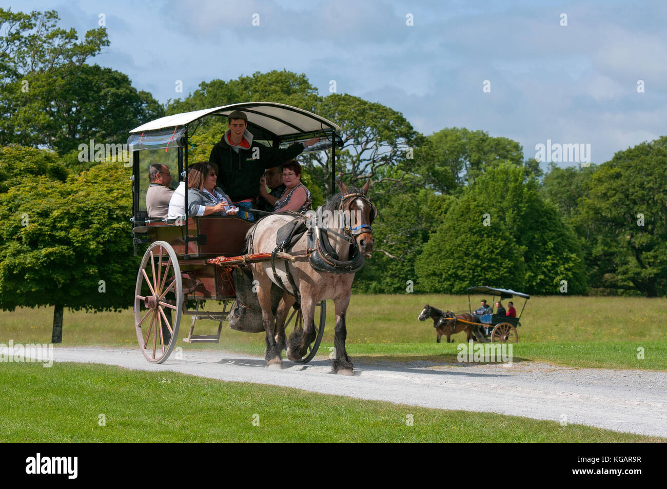 Jaunting car with tourists at Muckross House and Gardens, Killarney National Park, County Kerry, Ireland Stock Photo