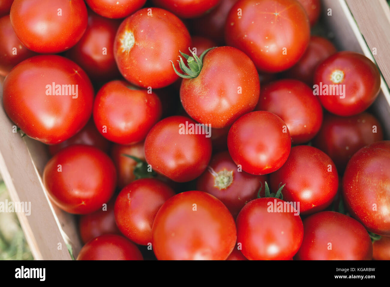 Picture of many tomatoes in wooden crate Stock Photo Alamy