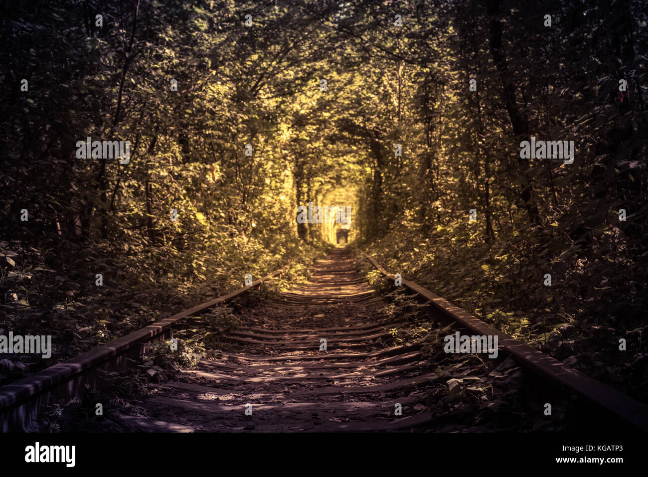 old forest and railway tunel of love Stock Photo