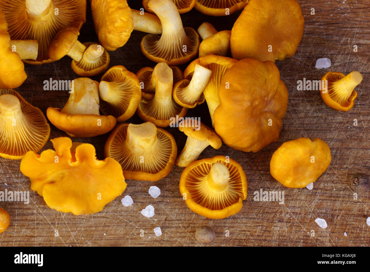 How to clean mushrooms hires stock photography and images Alamy
