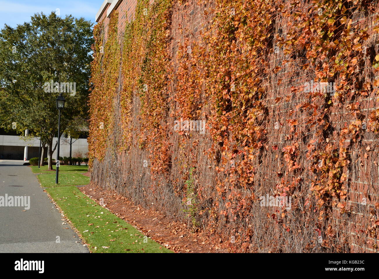 A view of the iconic and historic Mount Auburn Cemetery atop Mount