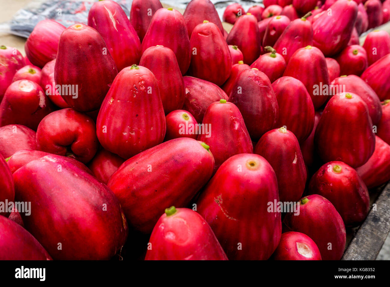 Water Apple Stock Photo Alamy