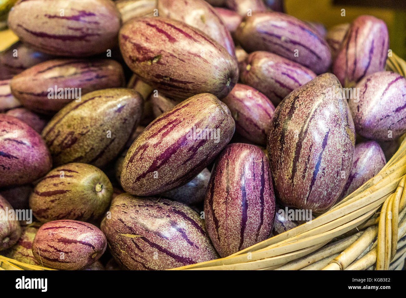 Pepino Melon found in the Cameron Highlands, Malaysia Stock Photo