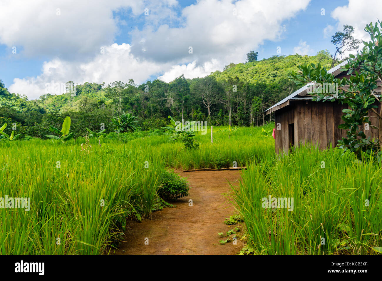 Cambodia Rural People Family Stock Photos & Cambodia Rural People